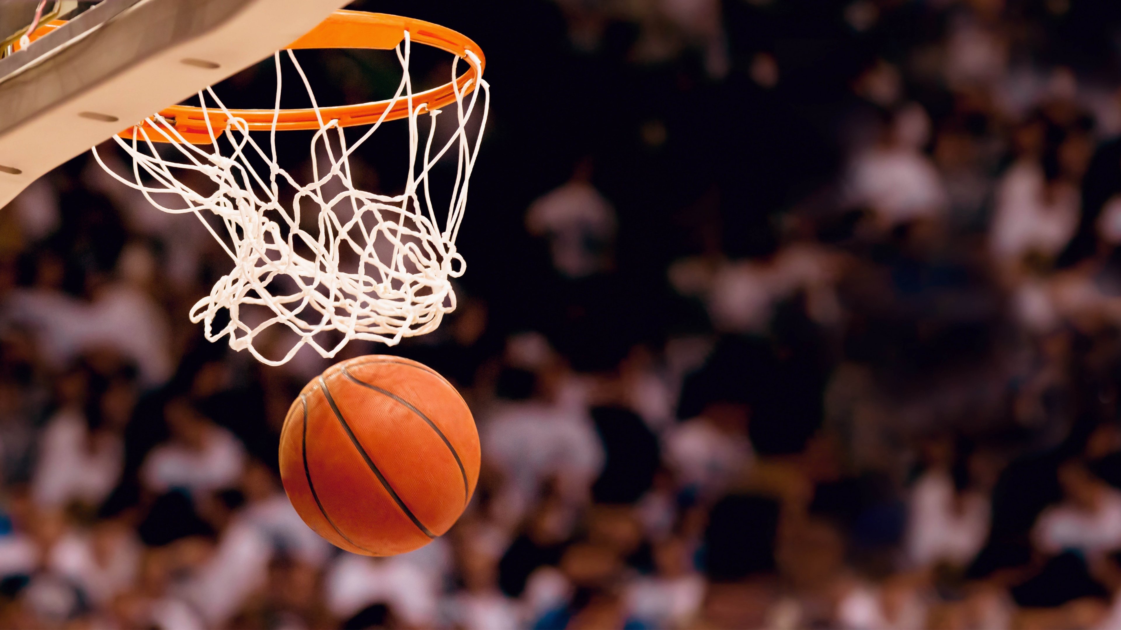 独行侠南征破敌阵,武切维奇奇兵定乾坤—CBA与NBA的跨界对决,一场关于孤独与勇气的史诗